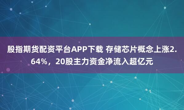 股指期货配资平台APP下载 存储芯片概念上涨2.64%，20股主力资金净流入超亿元