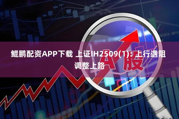 鲲鹏配资APP下载 上证IH2509(1): 上行遇阻 调整上路
