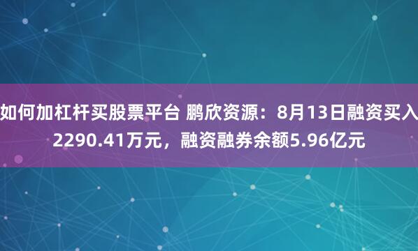 如何加杠杆买股票平台 鹏欣资源:8月13日融资买入2290.41万元,融资融券余额5.96亿元