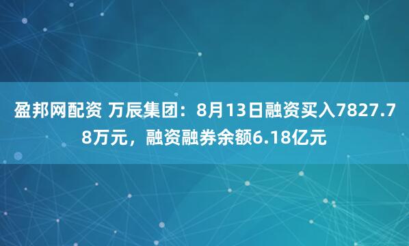 盈邦网配资 万辰集团：8月13日融资买入7827.78万元，融资融券余额6.18亿元